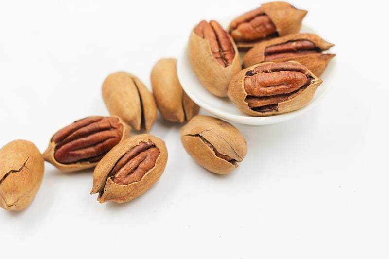 Energy Bars