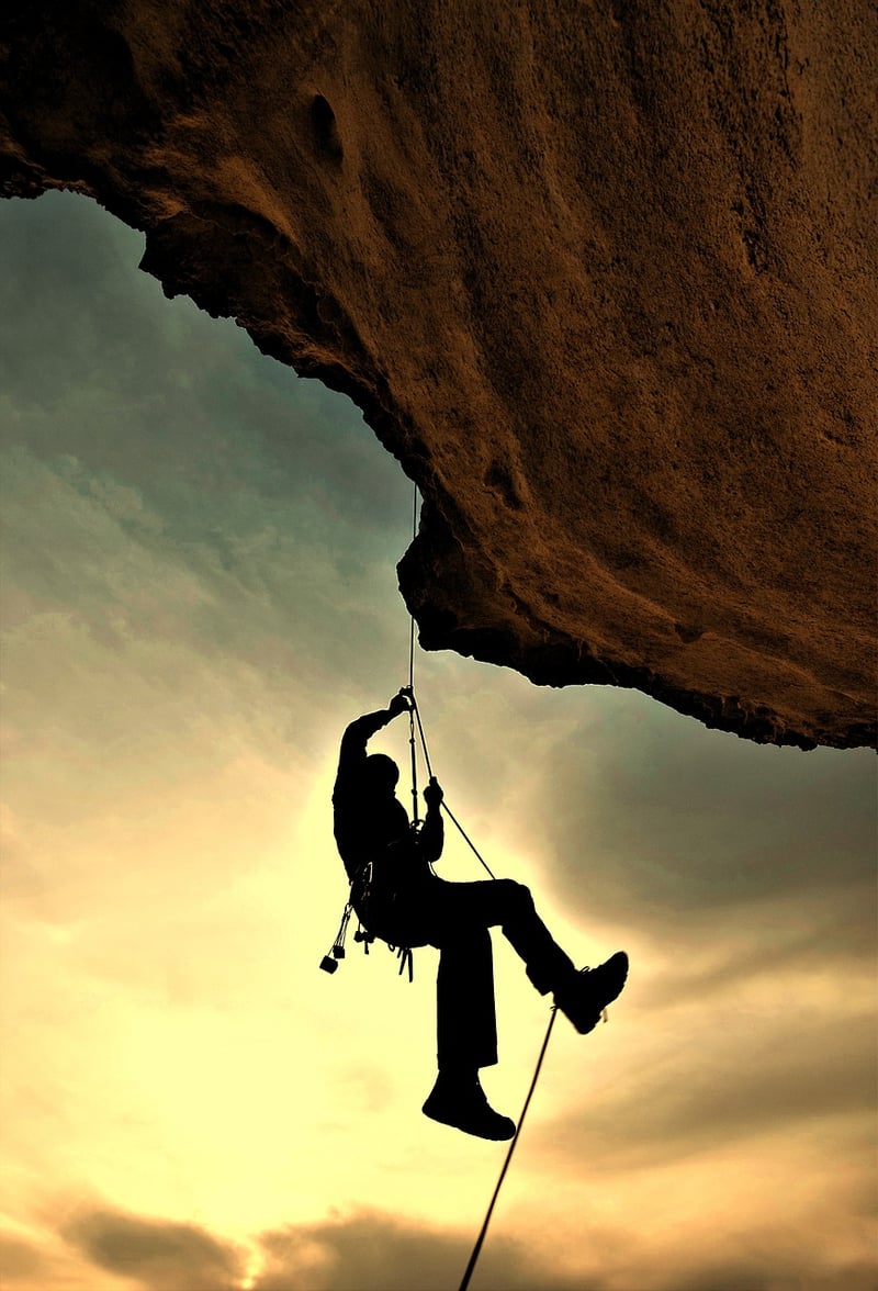 Climbing Harness
